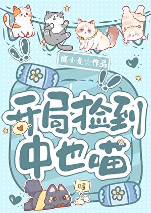 横滨大舞台，有喵你就来