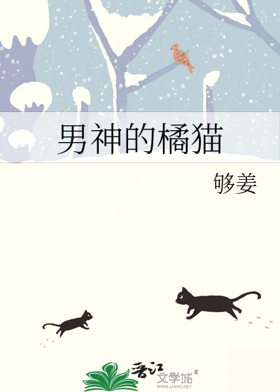 男神的橘猫