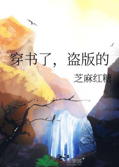 穿书了，盗版的