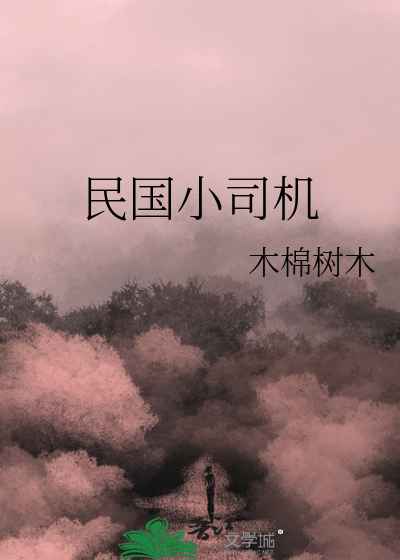 民国小司机