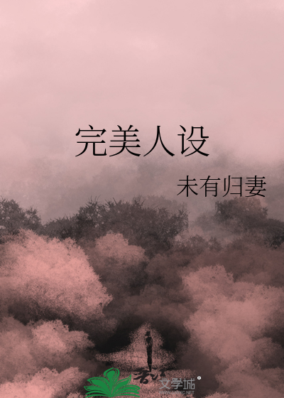完美人设