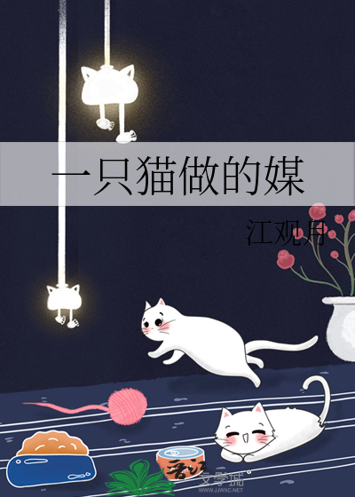 一只猫做的媒